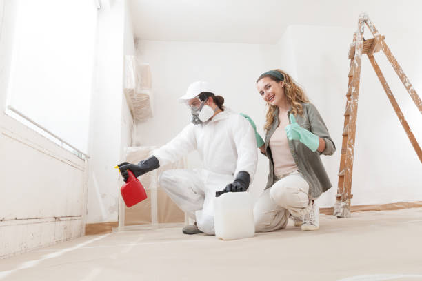 Mold Documentation for Insurance Claims in Iowa Park, TX